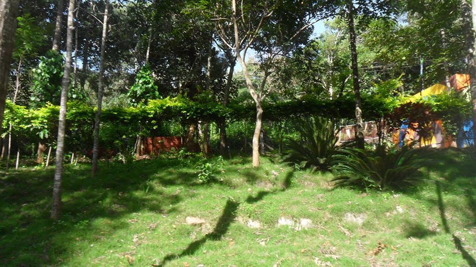 P A Resort Kolli Hills Dış mekan fotoğraf